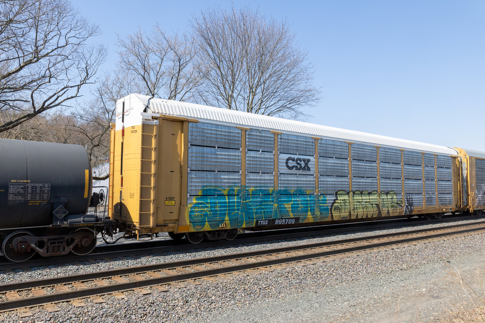 TTGX 995709
