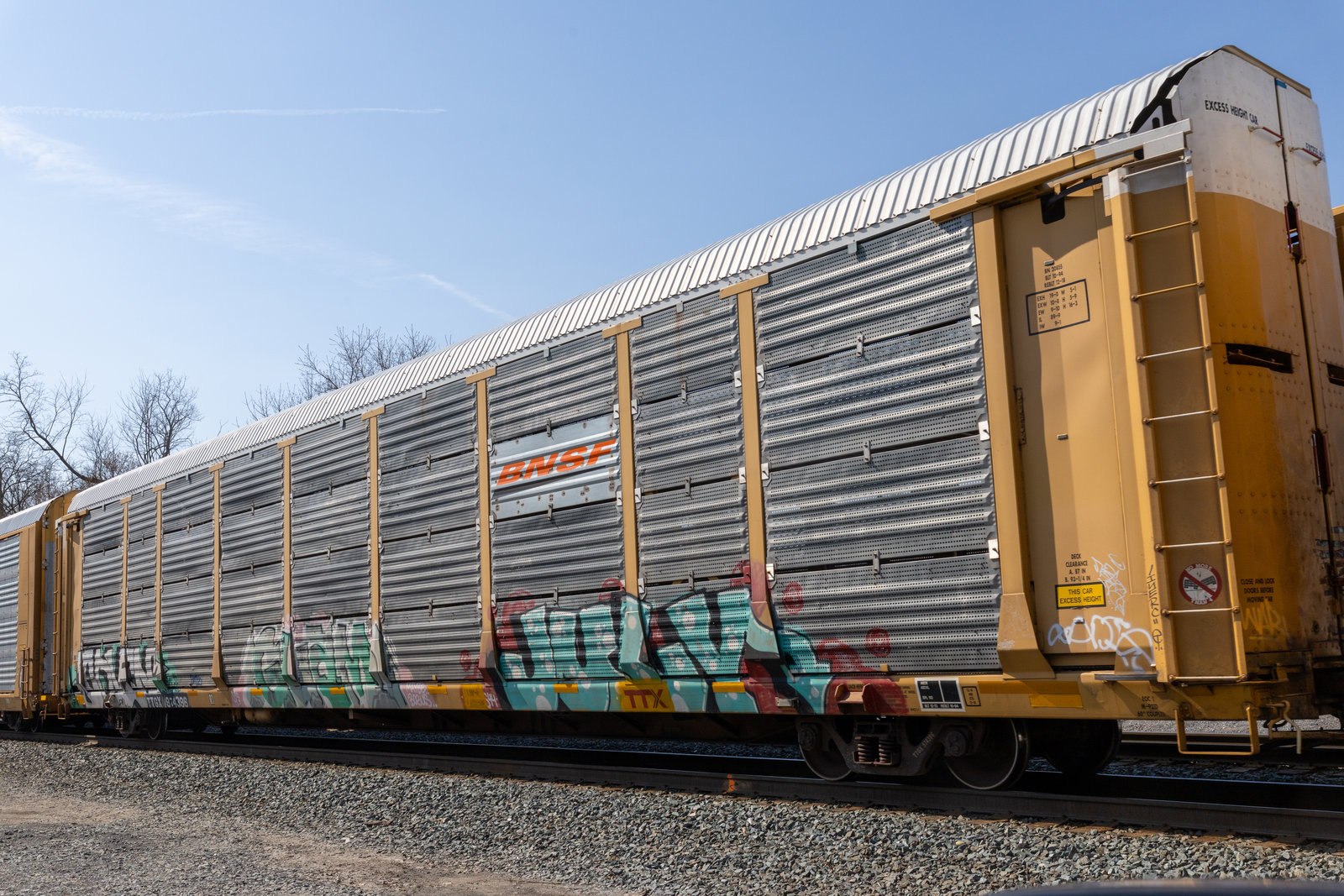 TTGX 974396