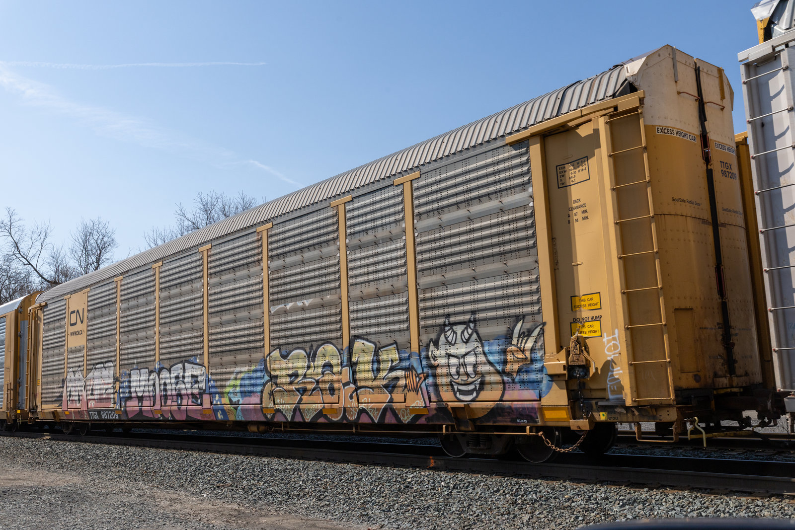 TTGX 987209