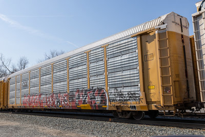 TTGX 987845