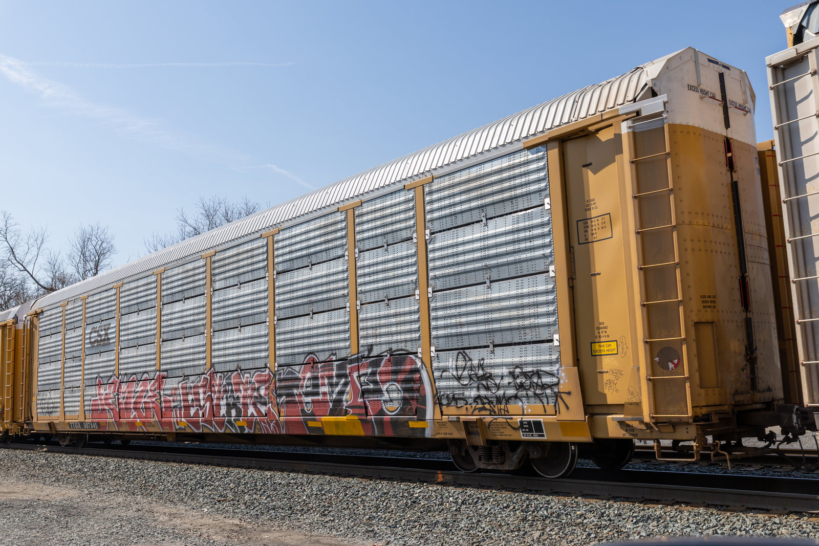 TTGX 987845