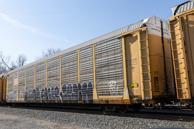 TTGX 994702