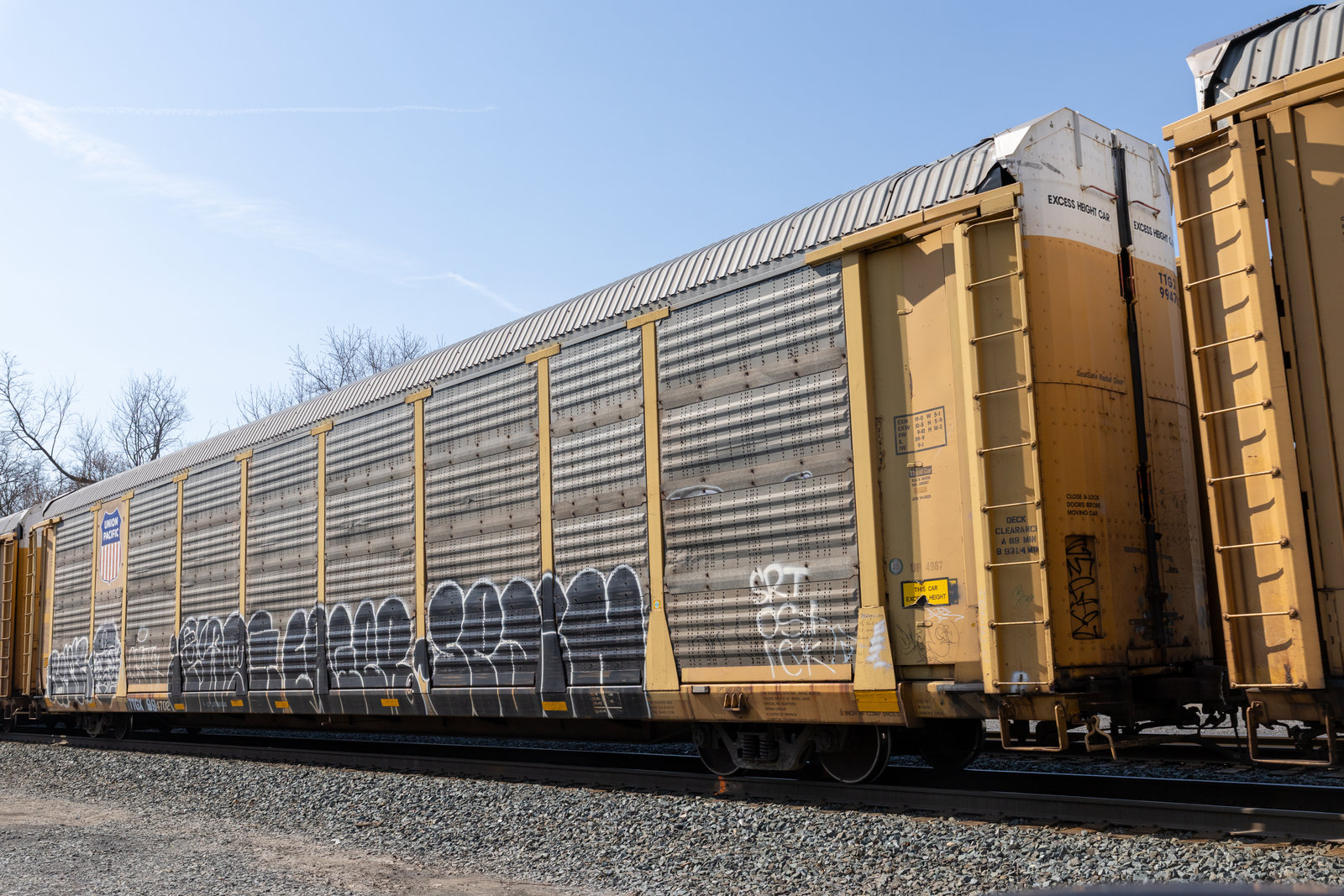 TTGX 994702