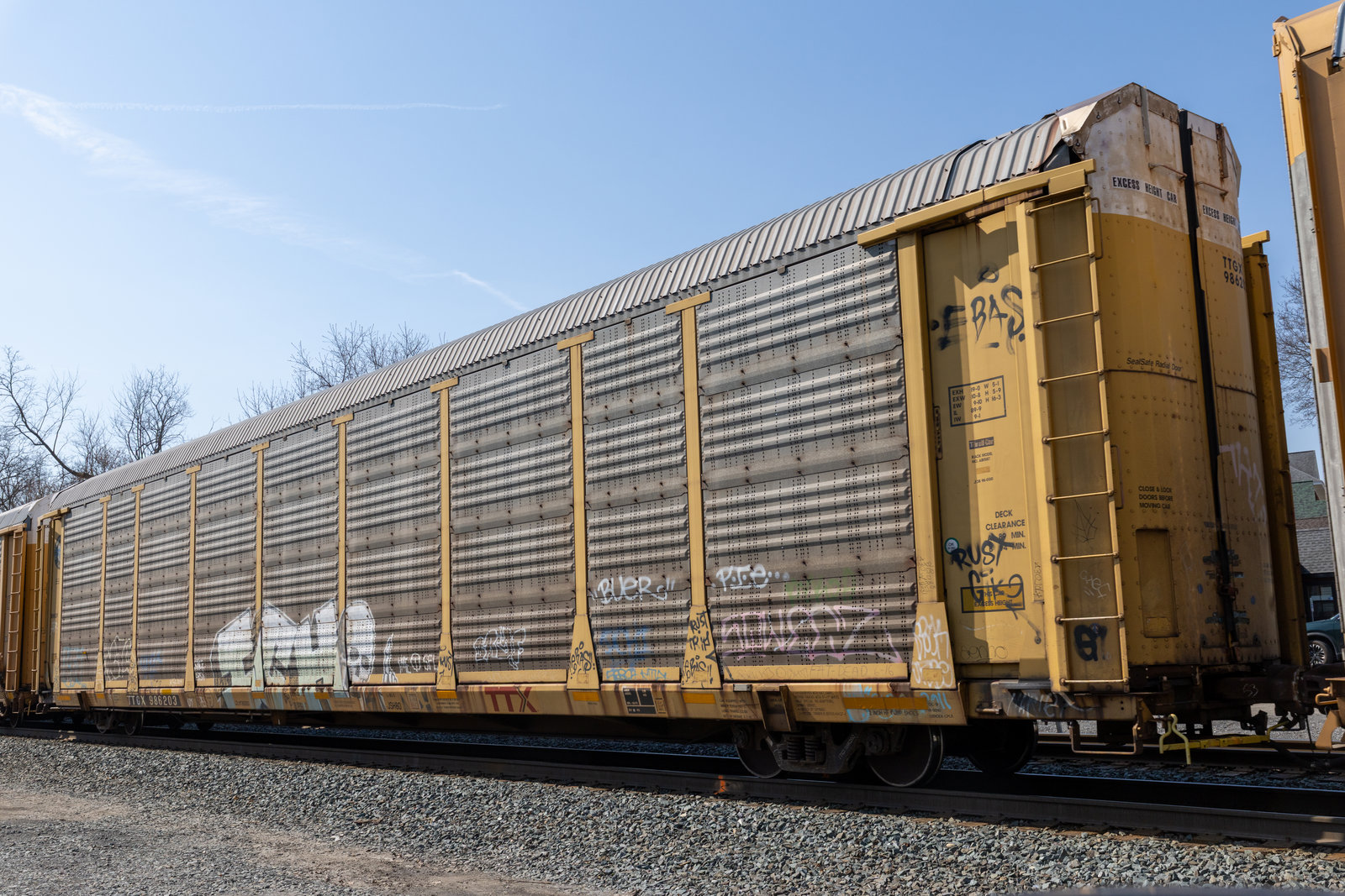 TTGX 986203