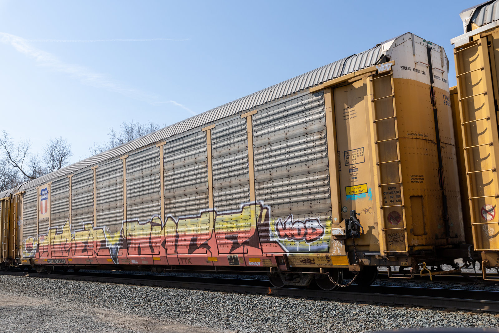 TTGX 985136
