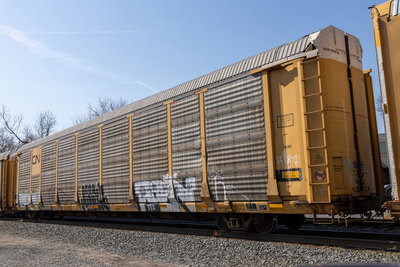 TTGX 982838