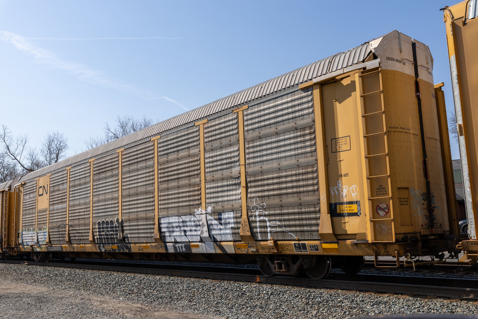 TTGX 982838