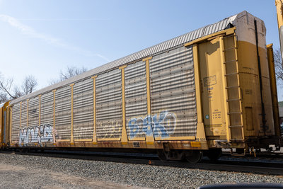 TTGX 985798