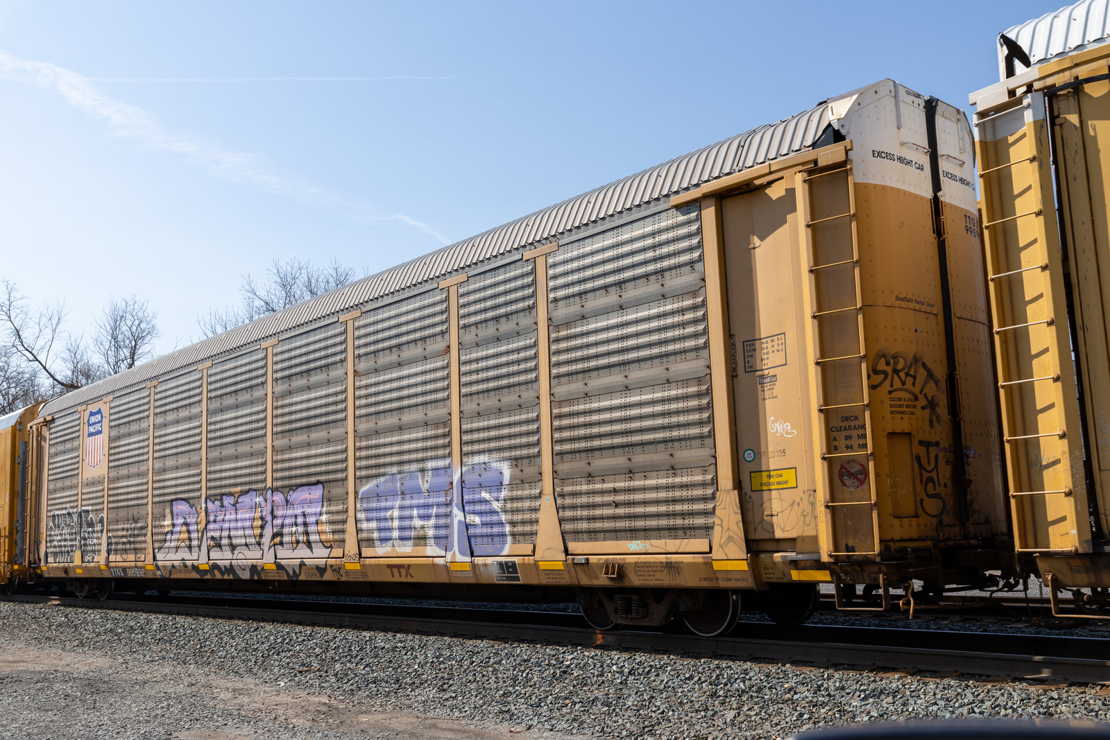 TTGX 995992
