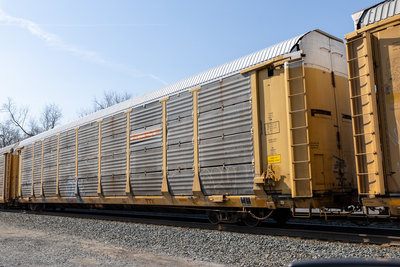 TTGX 255955