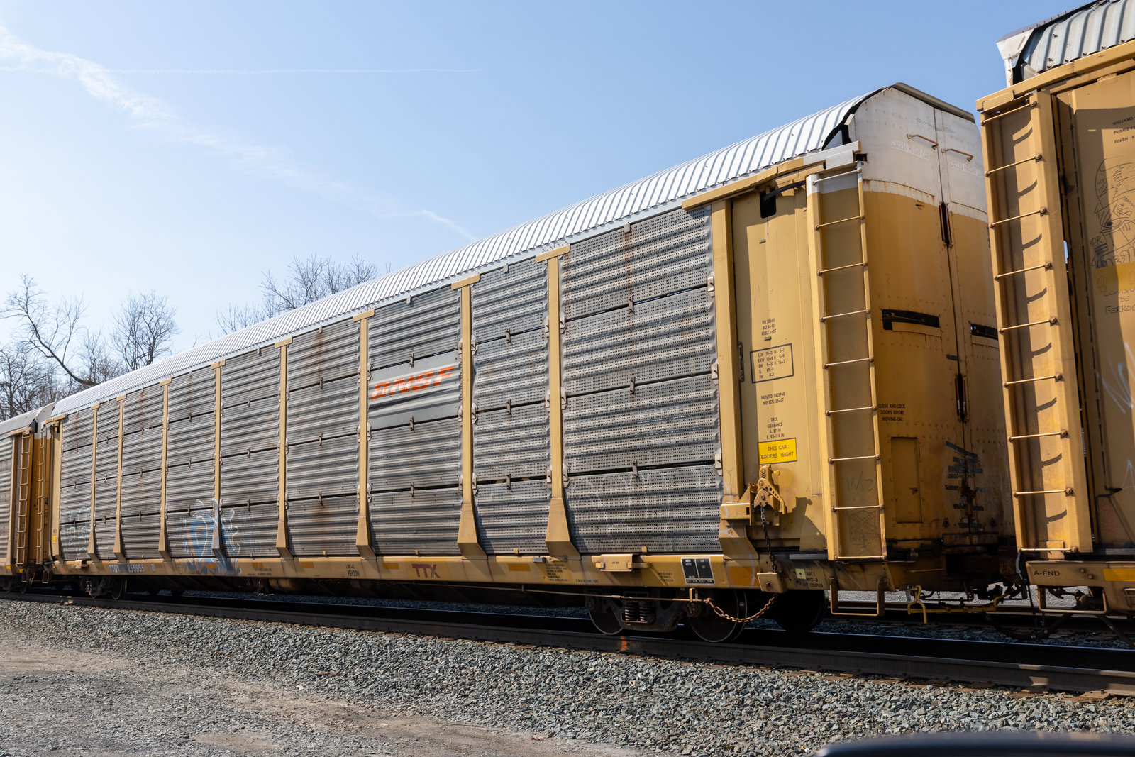 TTGX 255955