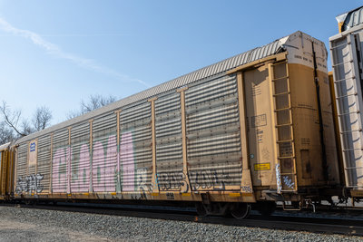 TTGX 986591
