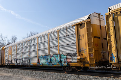 TTGX 991353