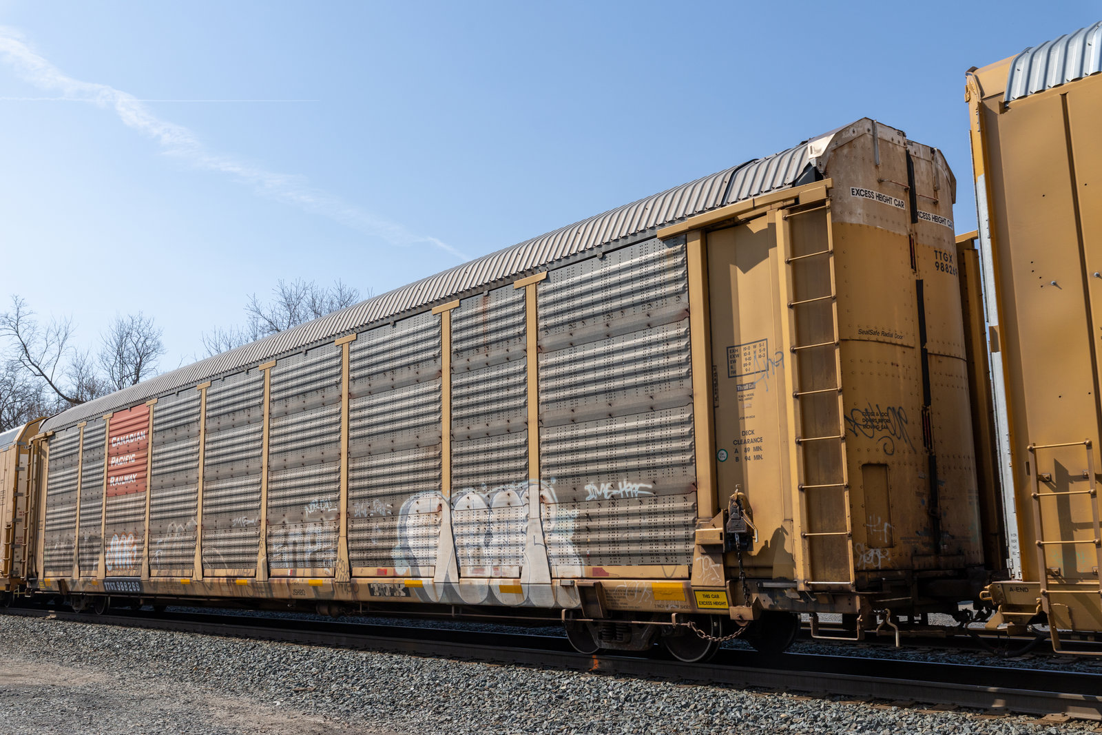 TTGX 988269