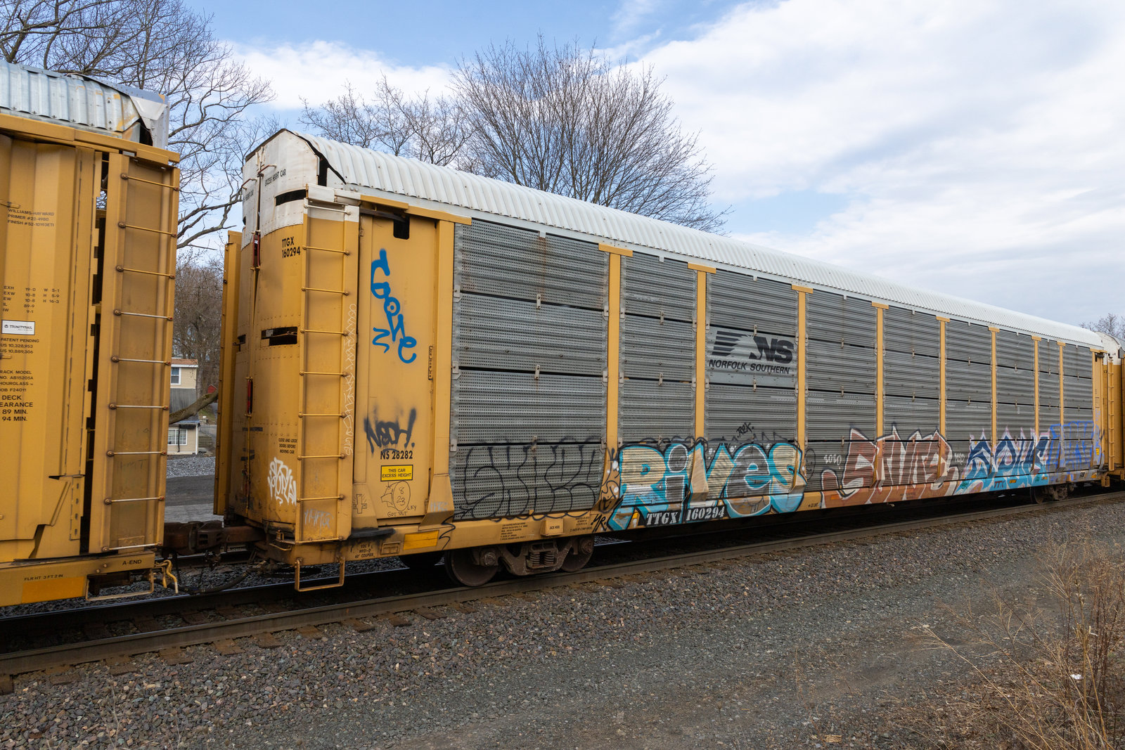 TTGX 160294