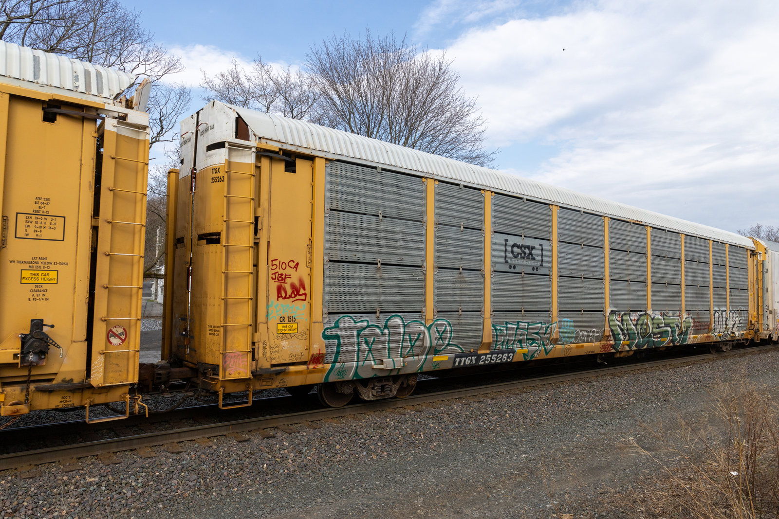 TTGX 255263