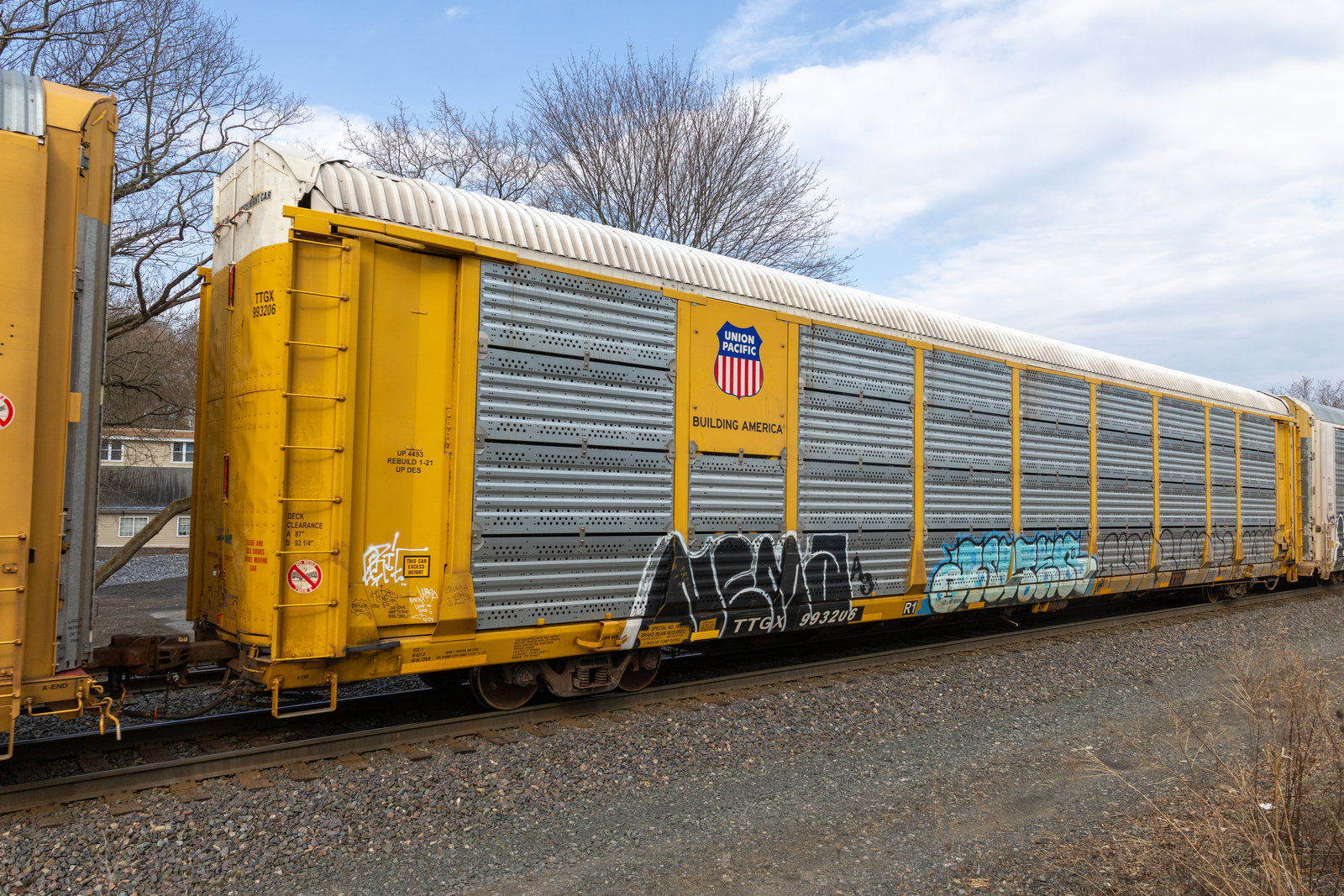 TTGX 993206