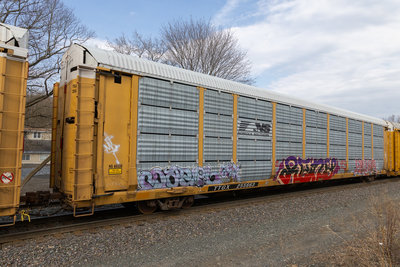 TTGX 255663