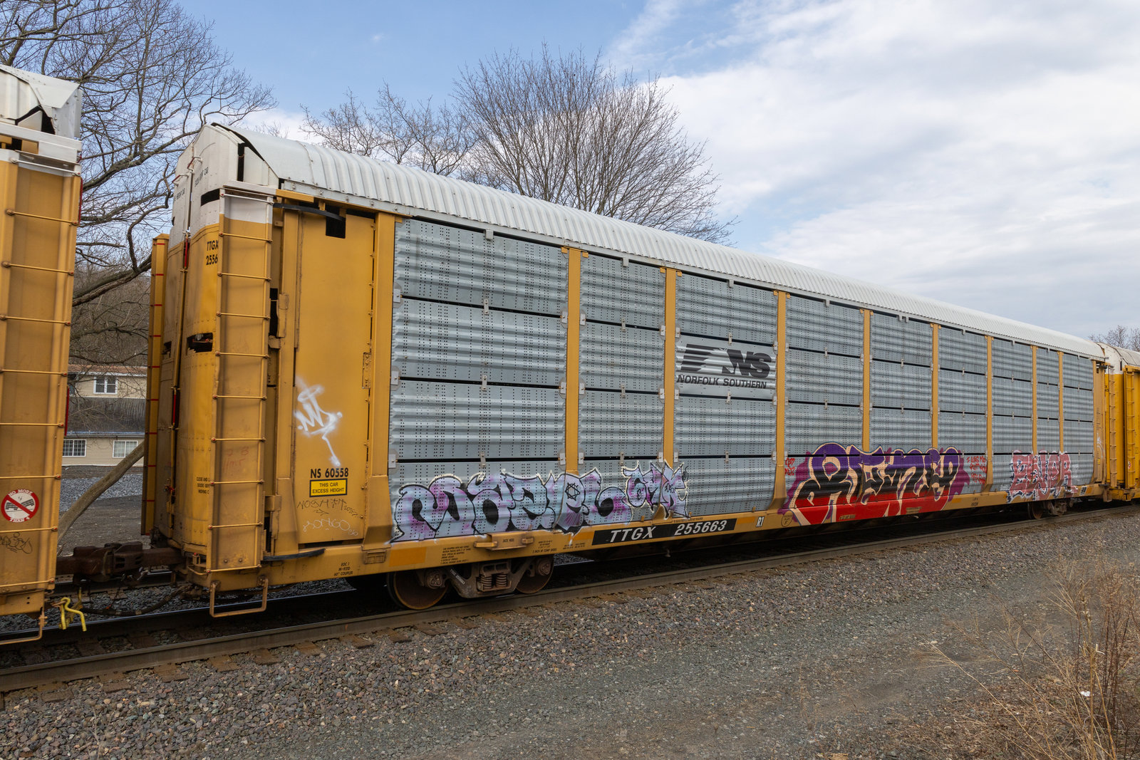 TTGX 255663