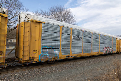 TTGX 985061