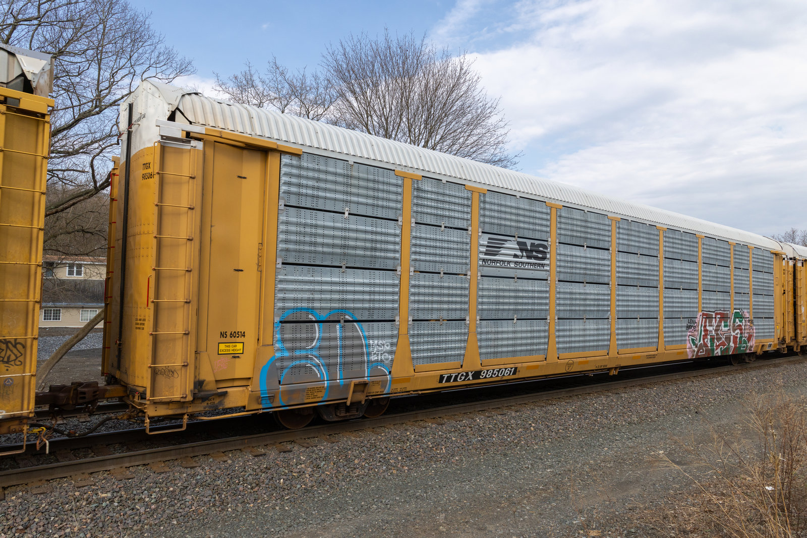 TTGX 985061