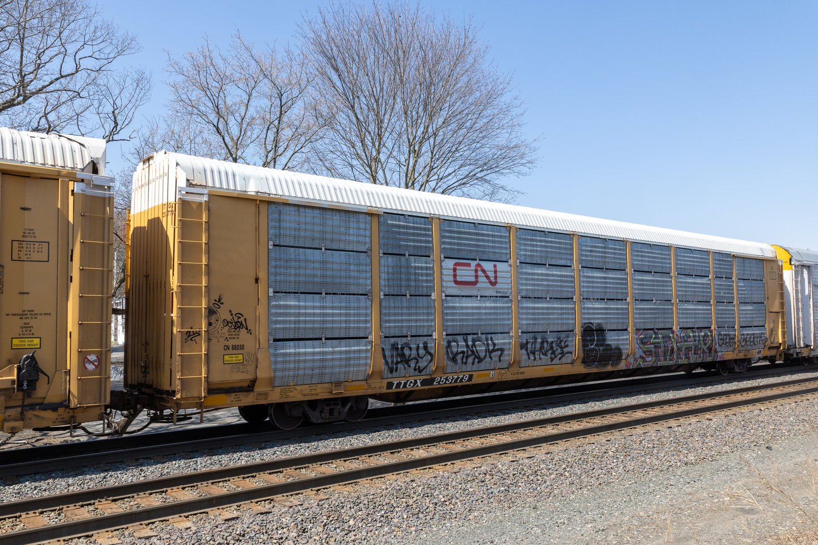 TTGX 253779