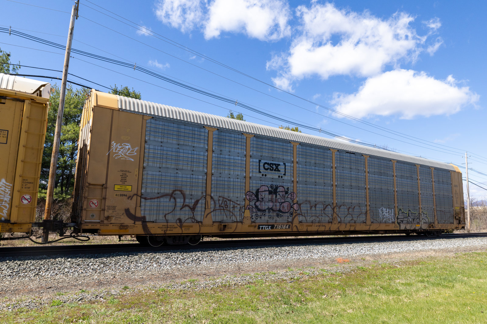 TTGX 716164