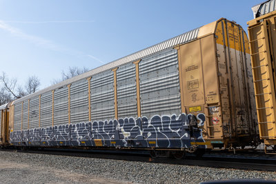 TTGX 716254