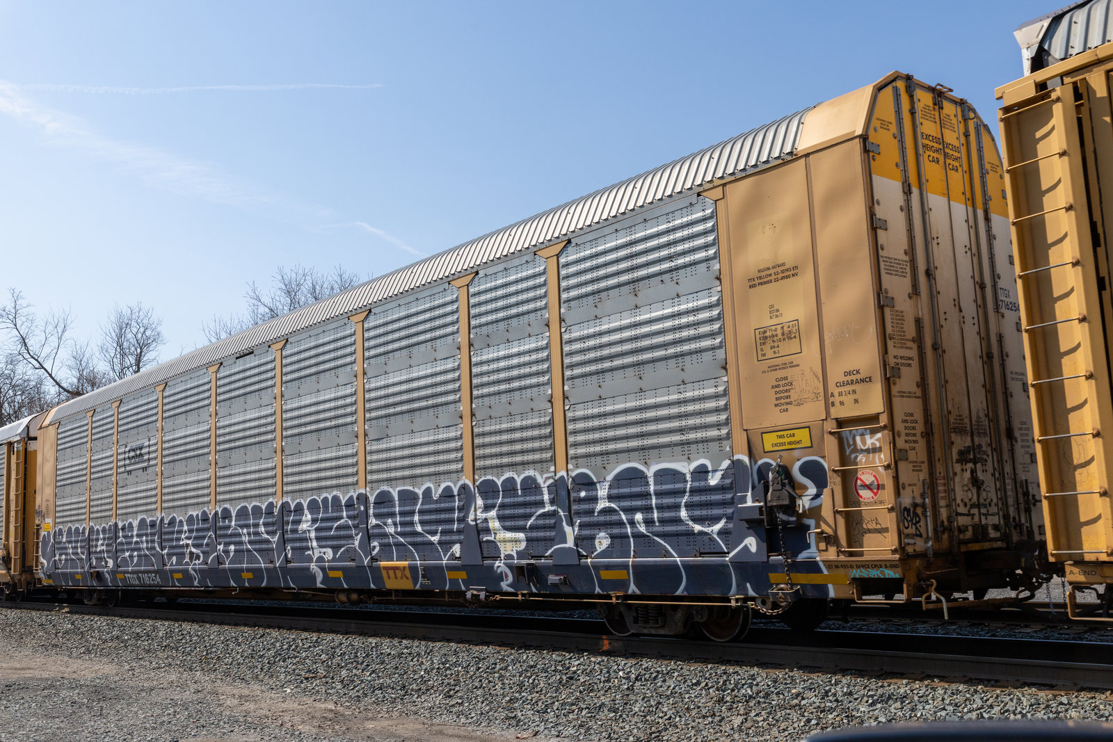 TTGX 716254