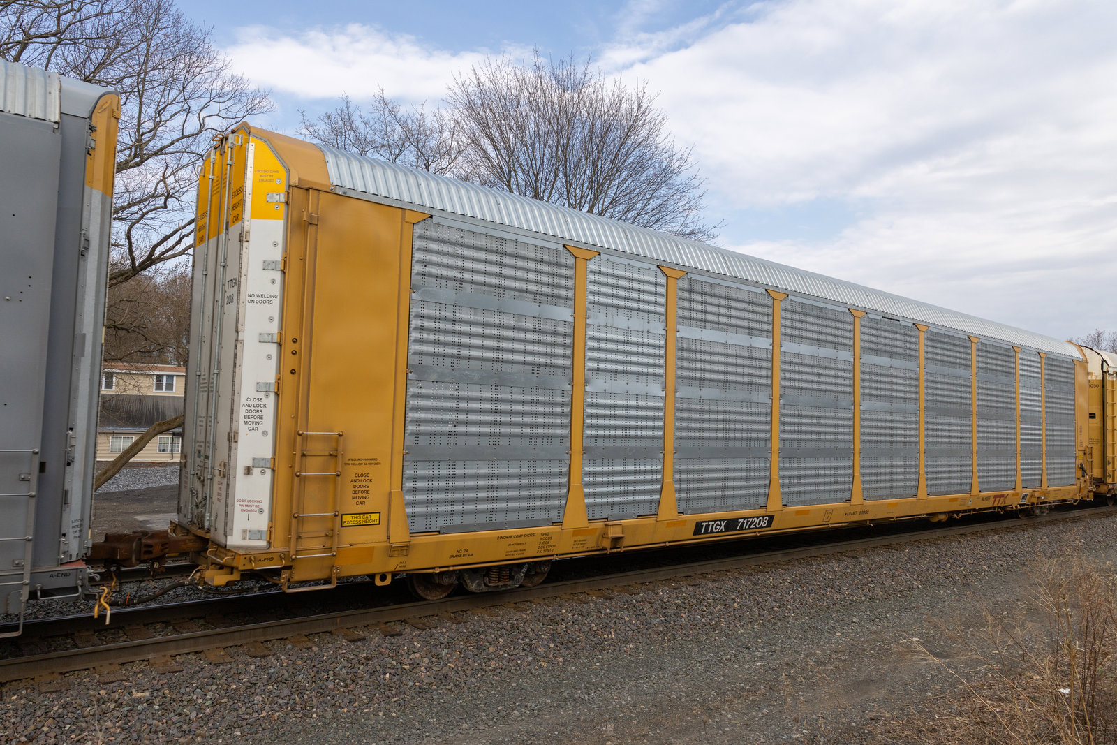 TTGX 717208