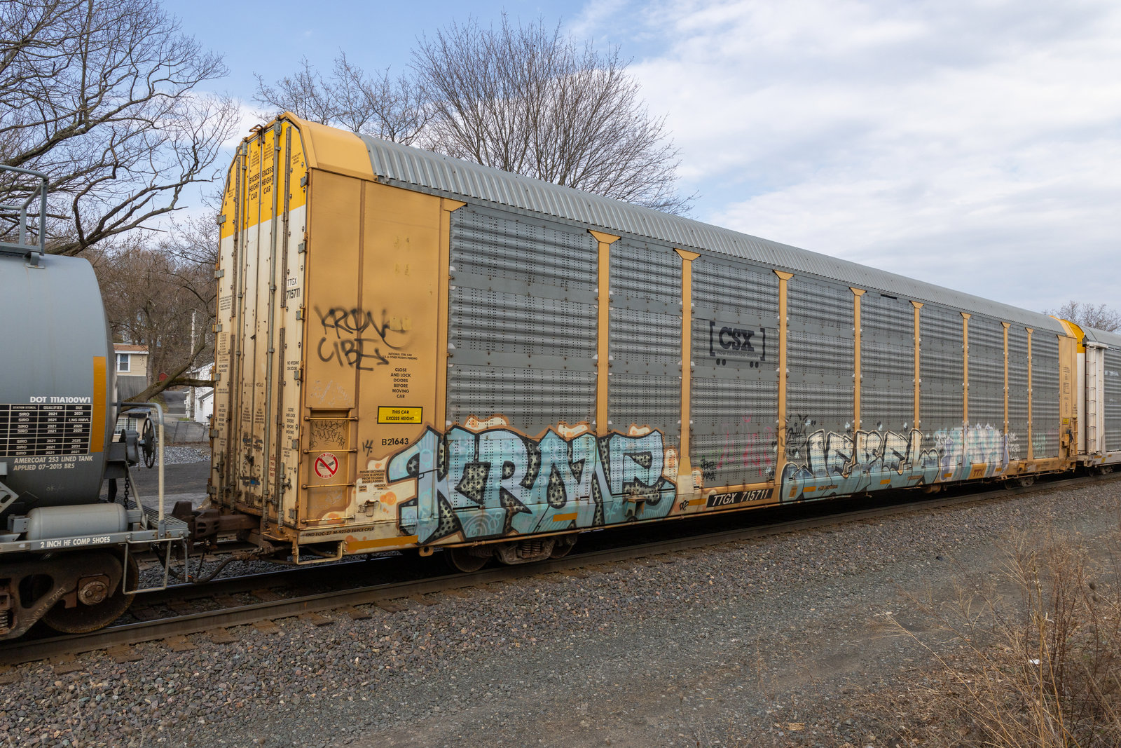 TTGX 715711