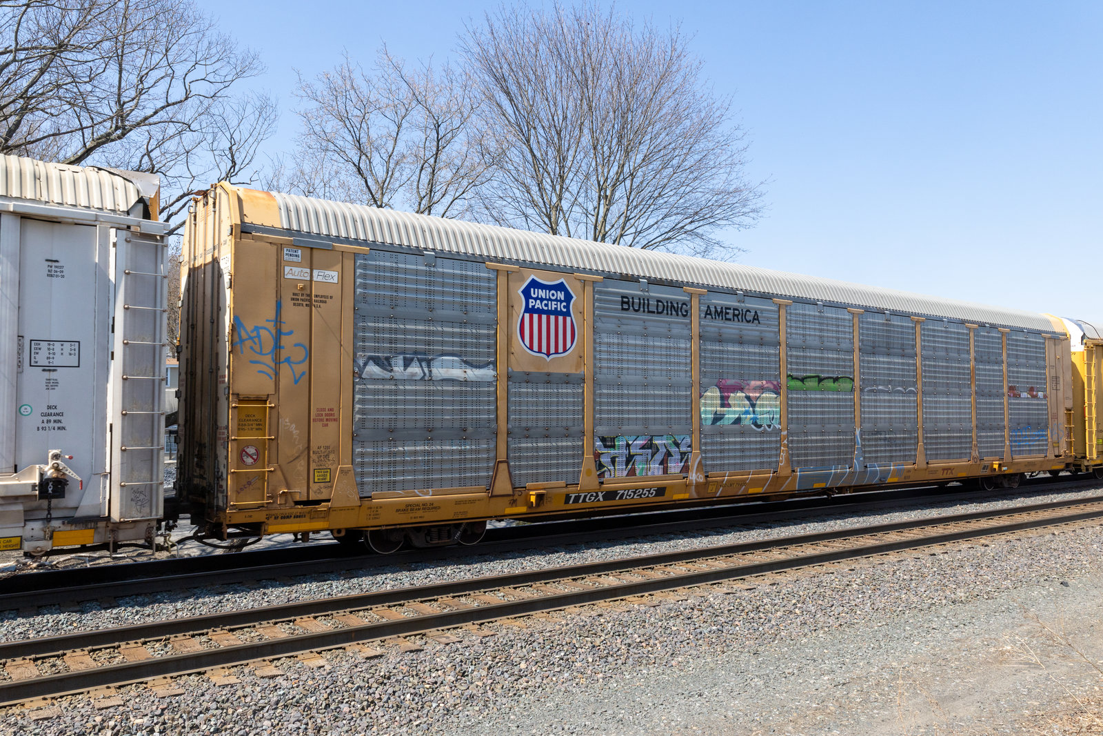 TTGX 715255