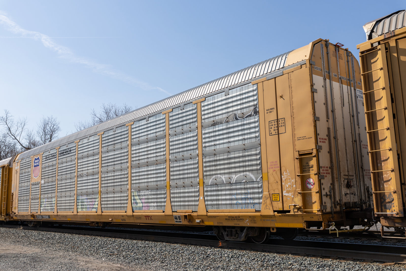 TTGX 715546