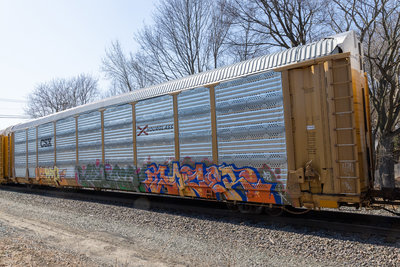 TTGX 709484
