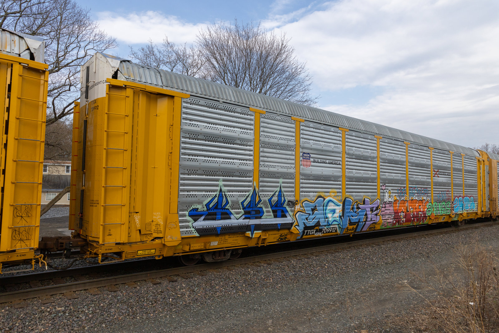 TTGX 709912