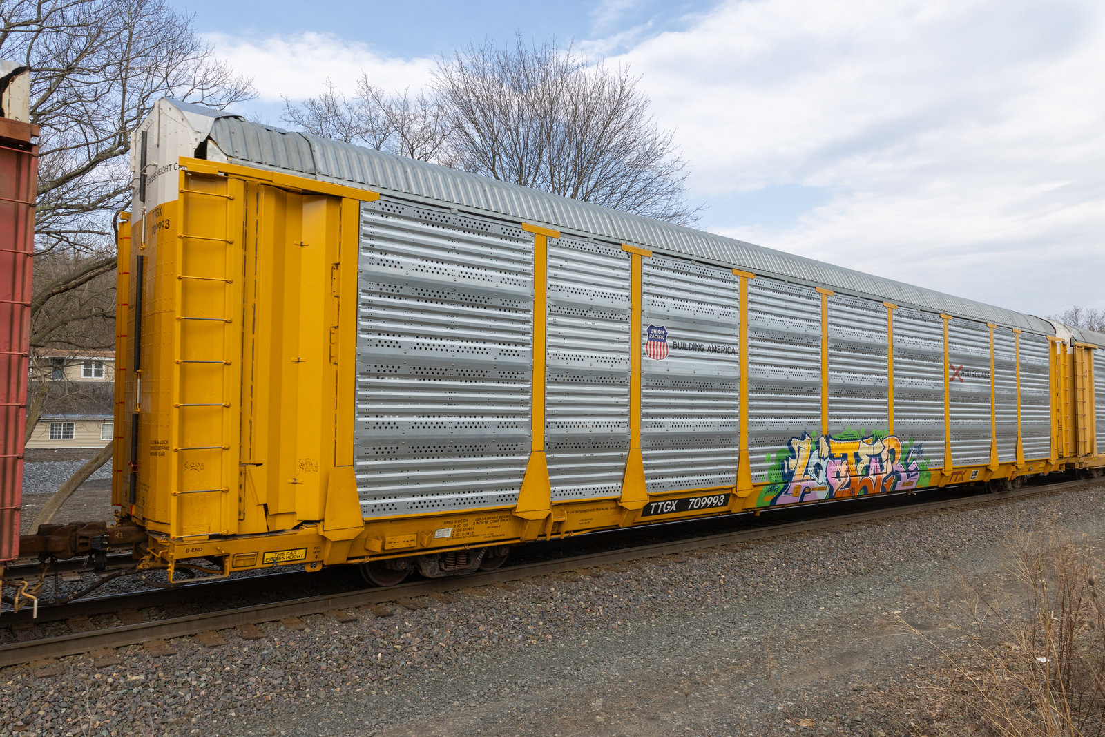 TTGX 709993