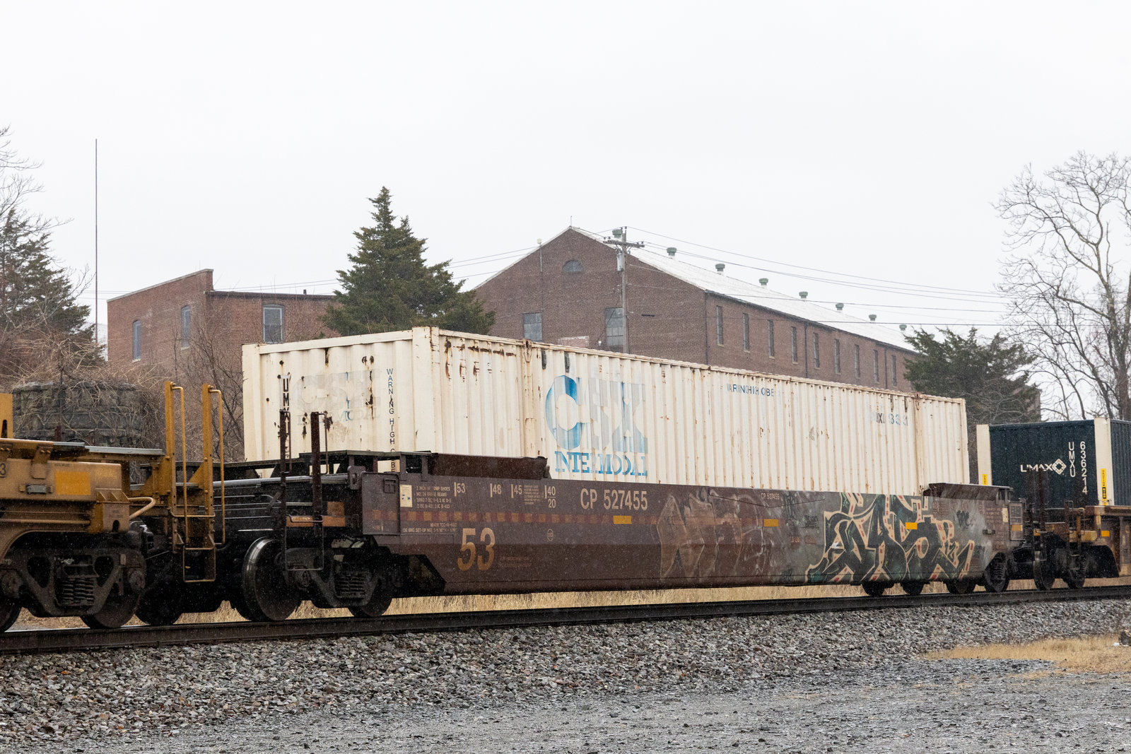 CP 527455