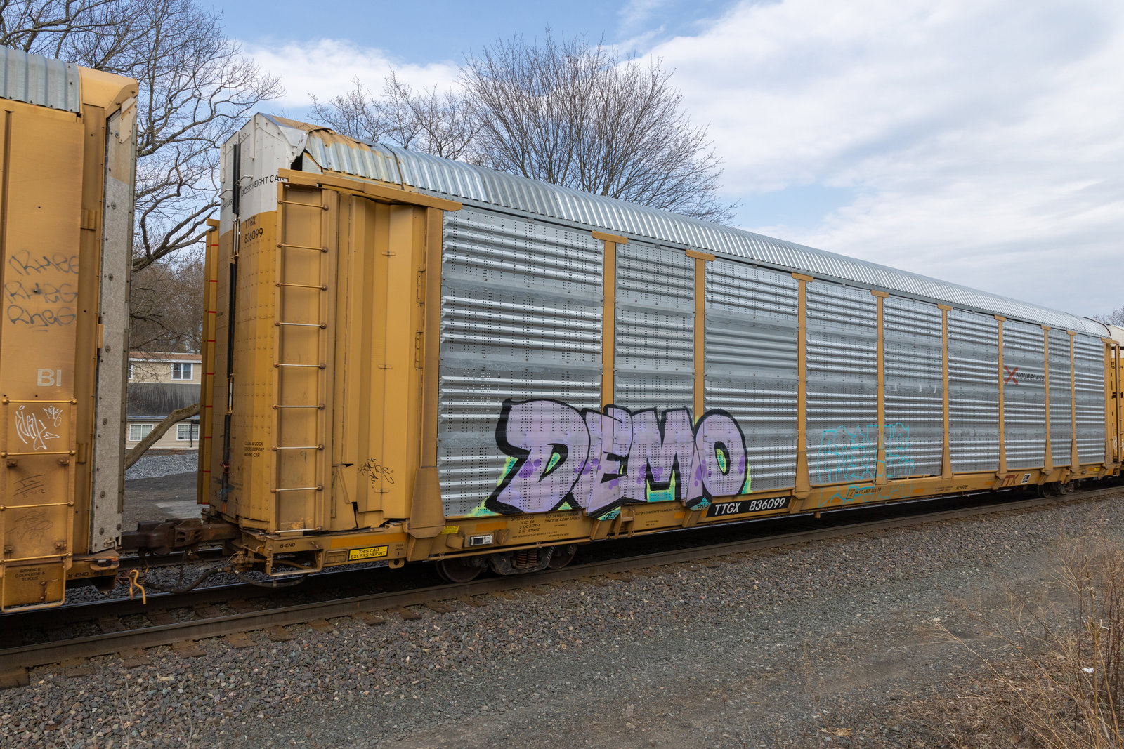 TTGX 836099