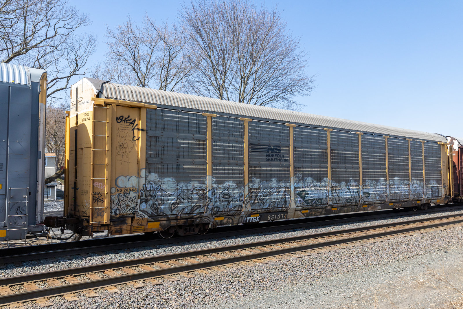 TTGX 851674