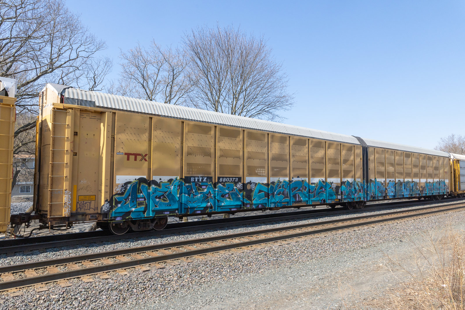 BTTX 880373