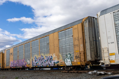 CTTX 692238