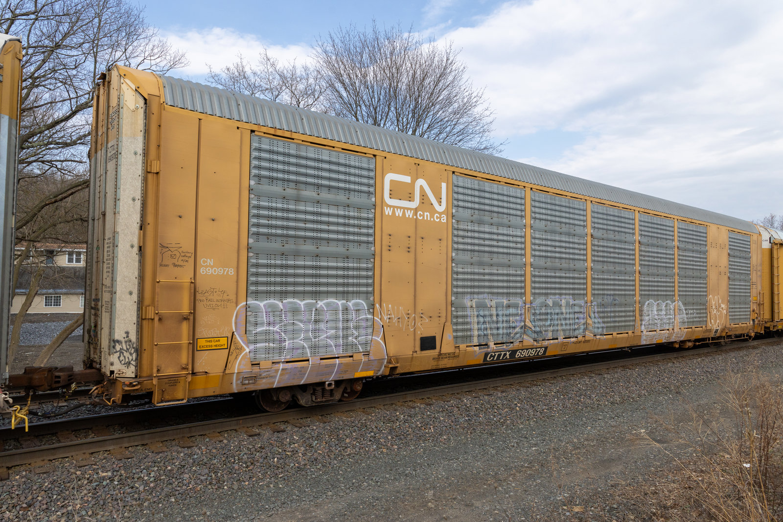 CTTX 690978