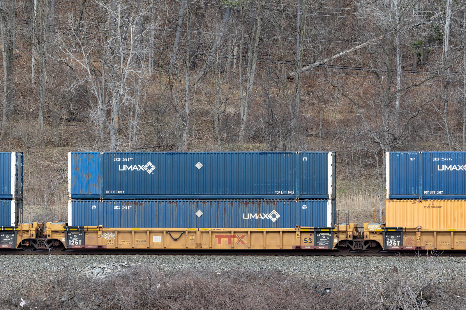 DTTX 788083C