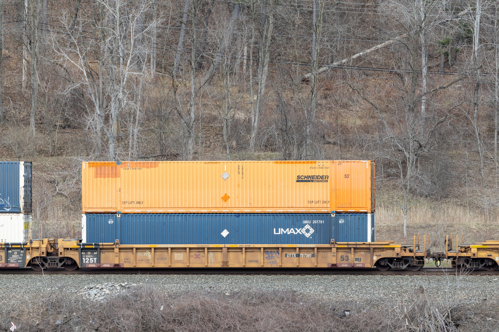 DTTX 787981A