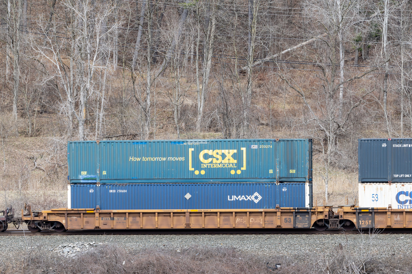DTTX 787339B