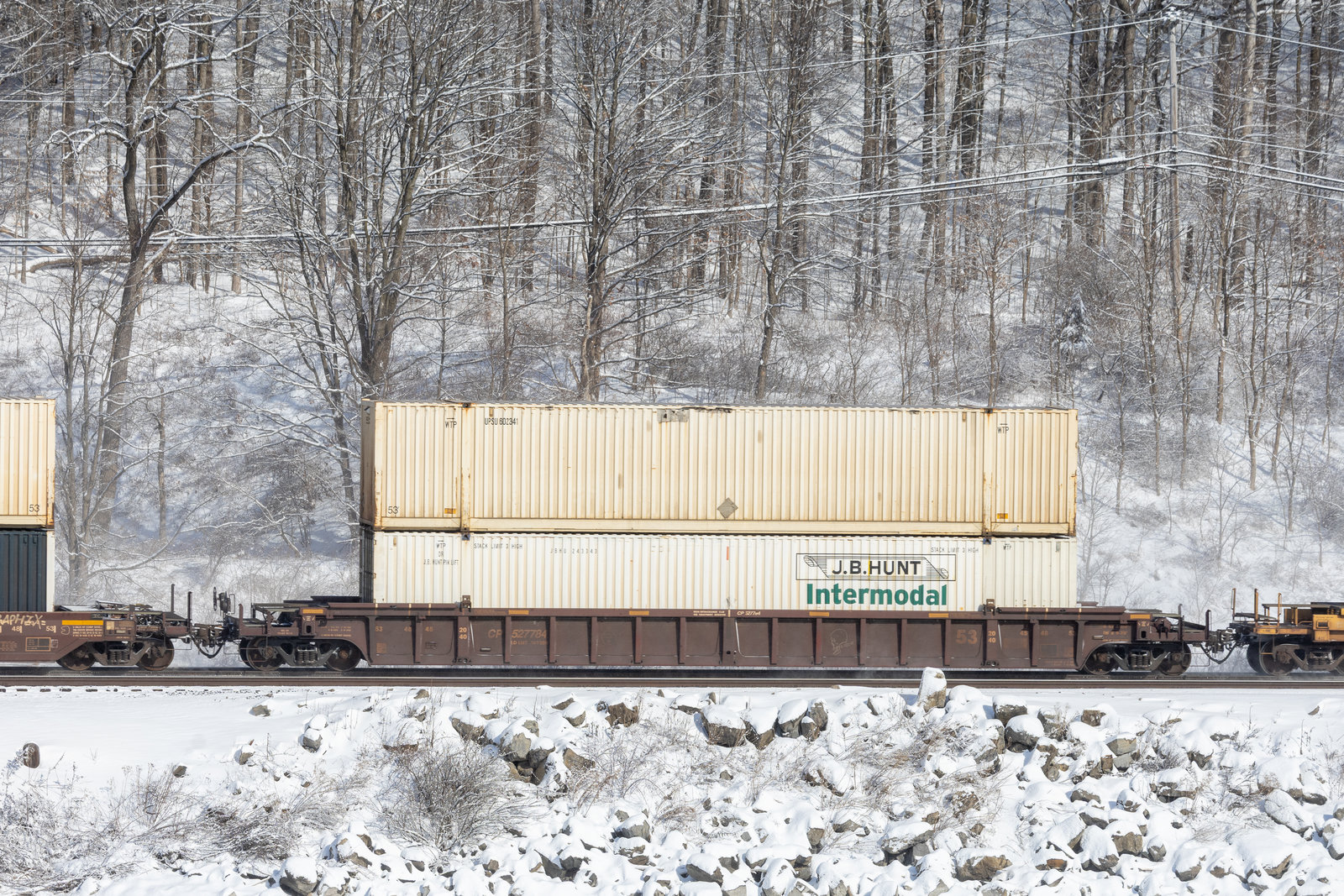 CP 527784
