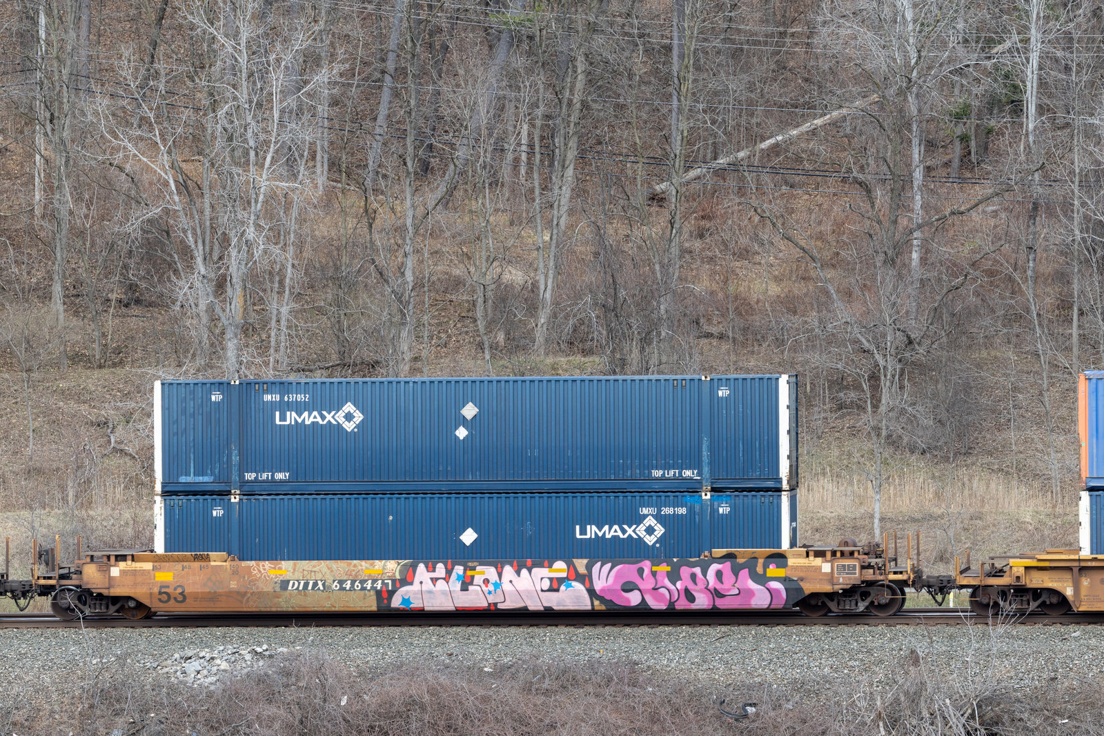 DTTX 646447