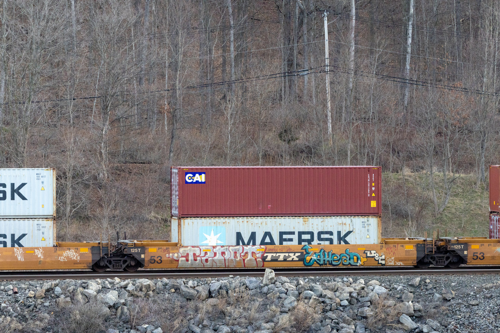 DTTX 733019C