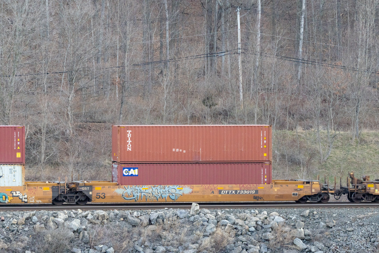 DTTX 733019A