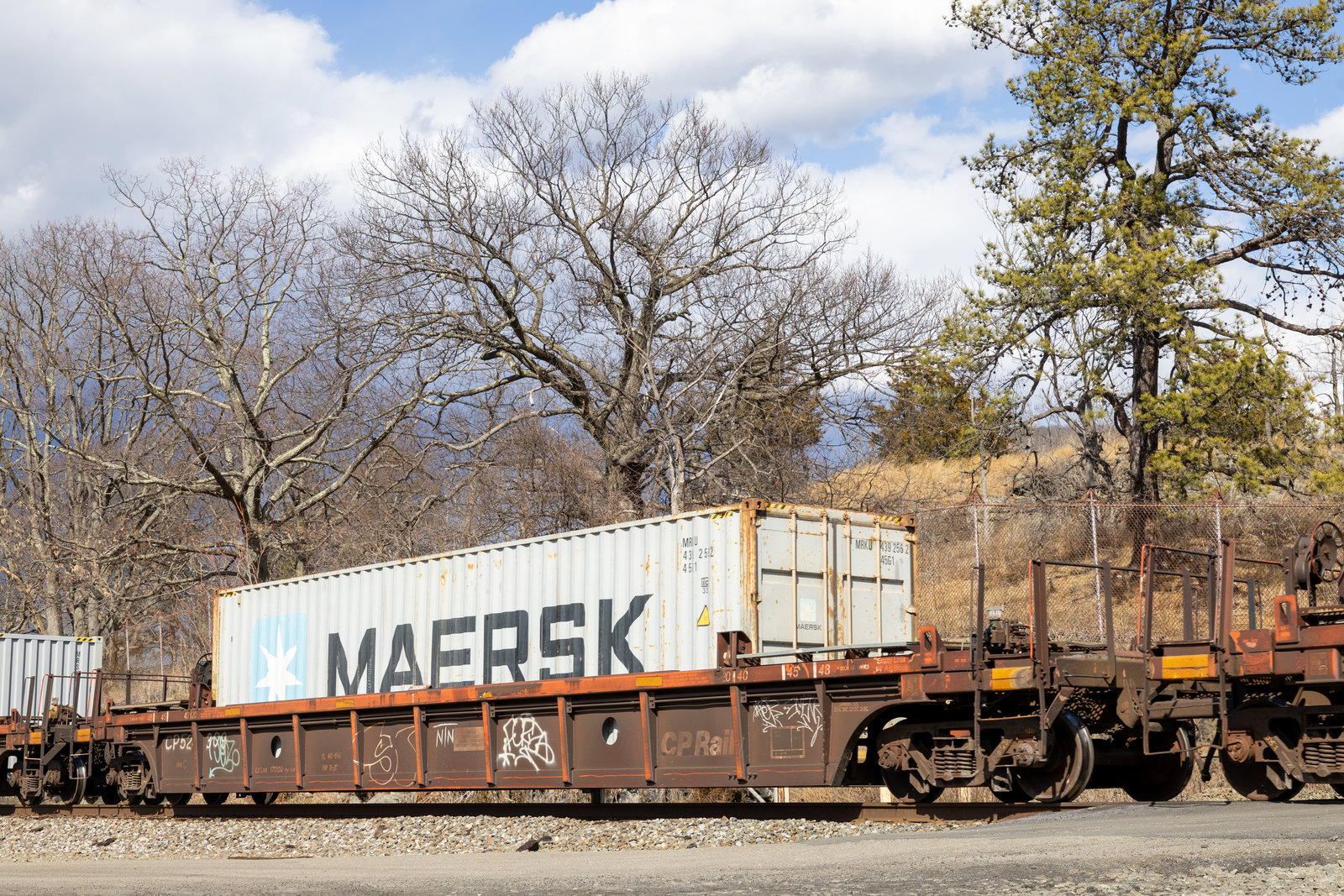 CP 524309C